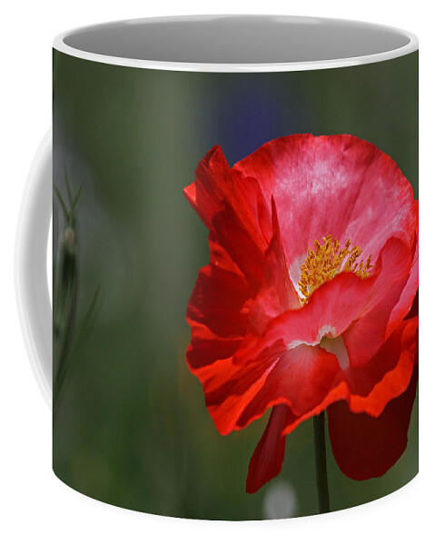 Flower Coffee Mug featuring the photograph Red Poppy by Juergen Roth