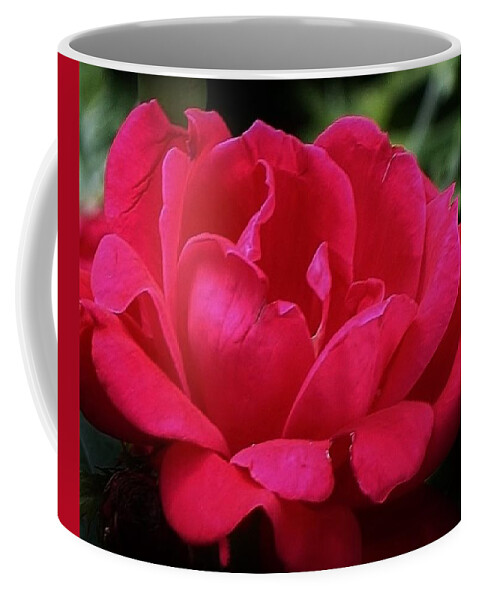 Flora Coffee Mug featuring the photograph Red Red Rose by Bruce Bley