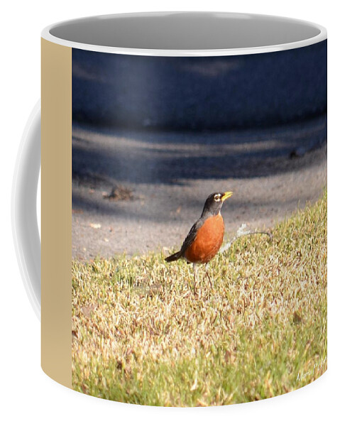 Red Robin Coffee Mug featuring the photograph Red Robin by Maria Urso