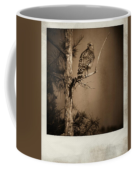 Red Coffee Mug featuring the photograph Red Tail Hawk Polaroid by Bradley R Youngberg