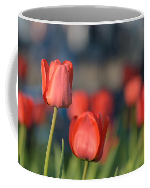 Bloom Coffee Mug featuring the photograph Red Tuips by Michael Goyberg
