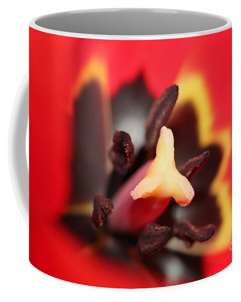 Landscape Coffee Mug featuring the photograph Red Tulip Stamen by Donna L Munro