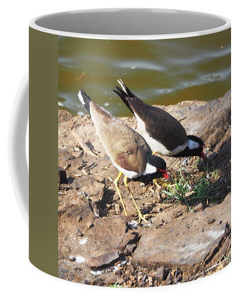 Red-wattled Lapwing Coffee Mug featuring the photograph Red-wattled Lapwing by C H Apperson