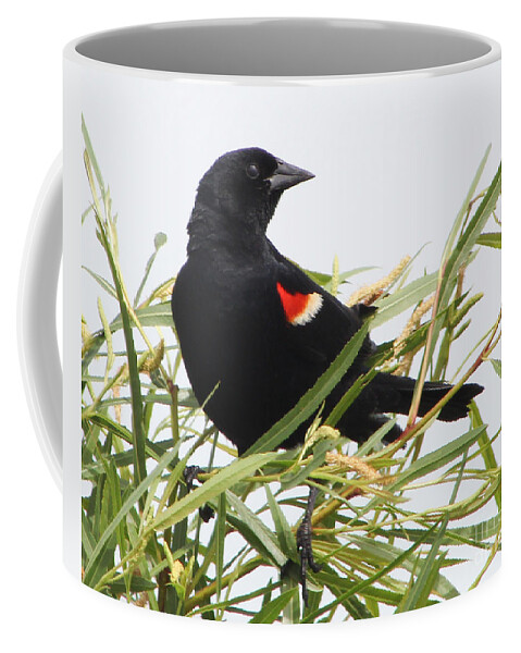 Christian Coffee Mug featuring the photograph Red-Winged Beauty by Anita Oakley