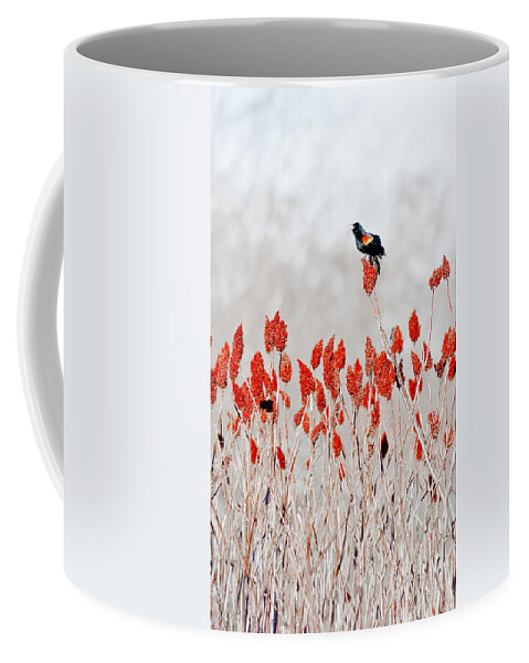 Dunns Marsh Coffee Mug featuring the photograph Red Winged Blackbird On Sumac by Steven Ralser