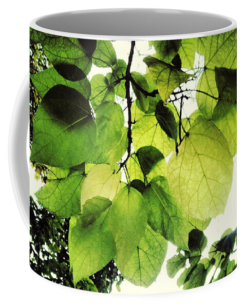 Leaf Coffee Mug featuring the photograph Catalpa Branch by Angela Rath