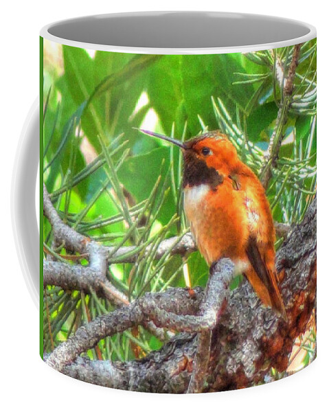 Rufus Coffee Mug featuring the photograph Redheaded Hummingbird II by Lanita Williams