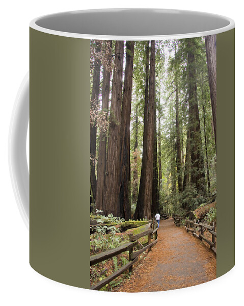 Muir Woods Coffee Mug featuring the photograph Redwood Trees by Sue Leonard