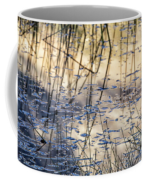 Patagonia Coffee Mug featuring the photograph Reeds in Pond by Timothy Hacker