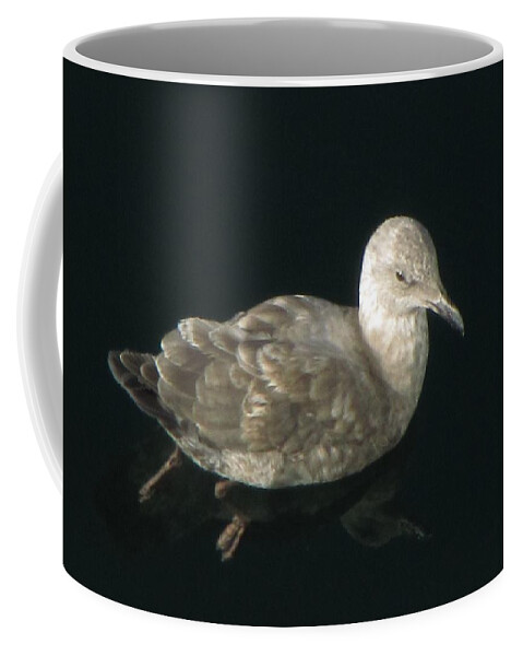 Seagull Coffee Mug featuring the photograph Refections of a Gull by Jennifer Wheatley Wolf