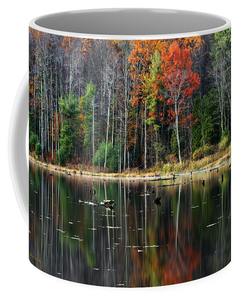 Fall Coffee Mug featuring the photograph Reflecting Autumn by Christina Rollo