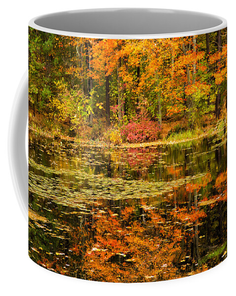 Reflecting Colors Coffee Mug featuring the photograph Reflecting Colors by Karol Livote