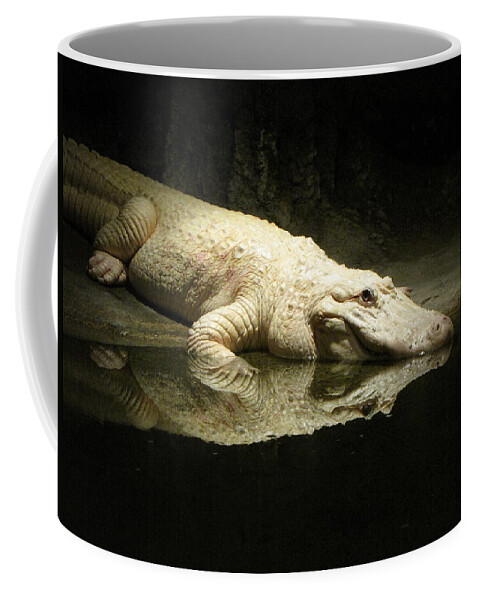Alligator Coffee Mug featuring the photograph Reflection by Beth Vincent