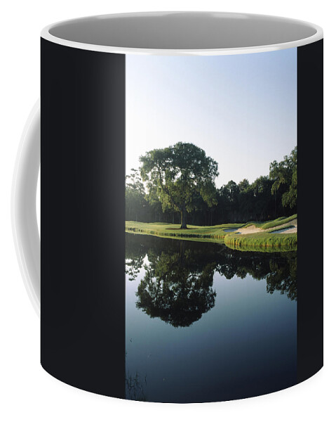 Photography Coffee Mug featuring the photograph Reflection Of Trees In A Lake, Kiawah by Panoramic Images