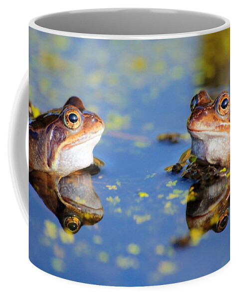 Frog Coffee Mug featuring the photograph Reflections by Chris Smith