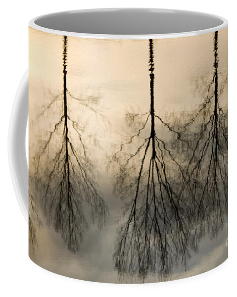 Landscape Coffee Mug featuring the photograph Reflections by Adriana Zoon