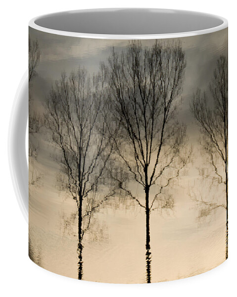 Landscape Coffee Mug featuring the photograph Reflections in grey II by Adriana Zoon