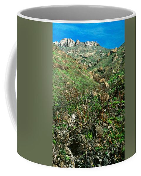 Adaptation Coffee Mug featuring the photograph Regrowth After Fire by Richard Hansen