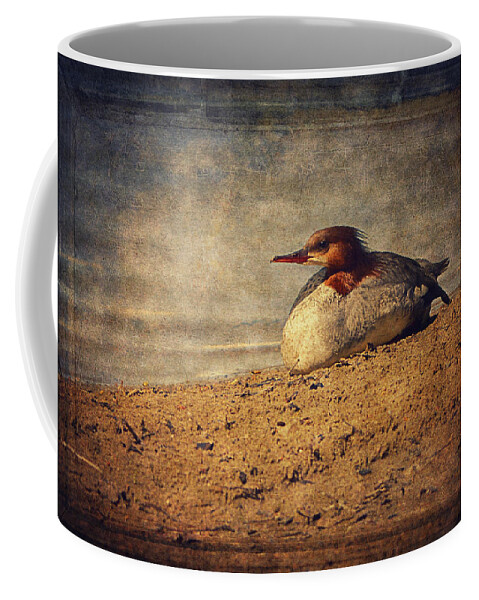 Merganser Coffee Mug featuring the photograph Relaxing Under The Sun by Maria Angelica Maira