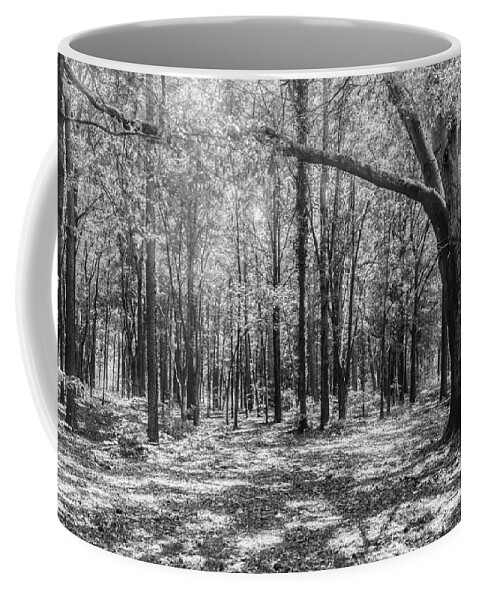 Battlefield Coffee Mug featuring the photograph Remembering American Revolution by Elvis Vaughn