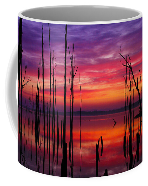 Landscape Coffee Mug featuring the photograph Reservoir at Sunrise by Roger Becker
