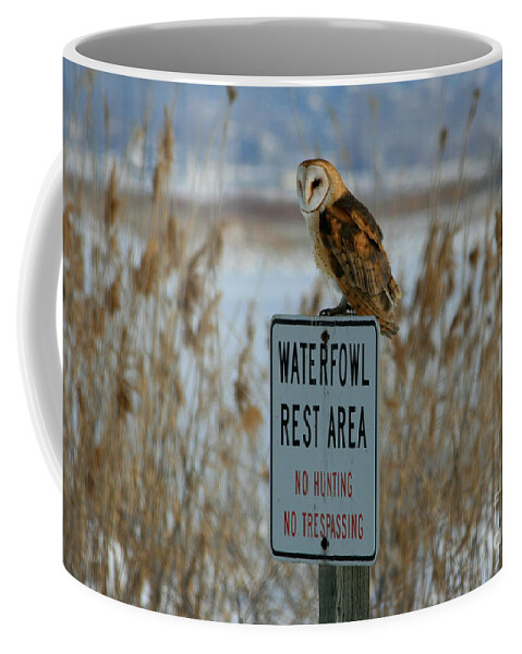 Barn Owl Coffee Mug featuring the photograph Resting Owl by Marty Fancy