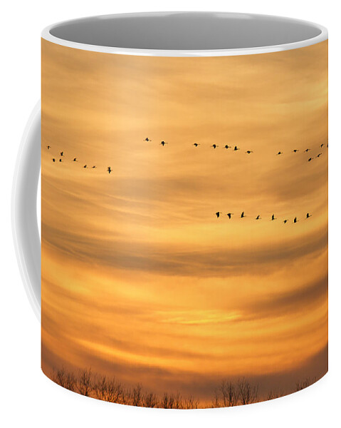 Animals Coffee Mug featuring the photograph Return to Roost by Jack R Perry