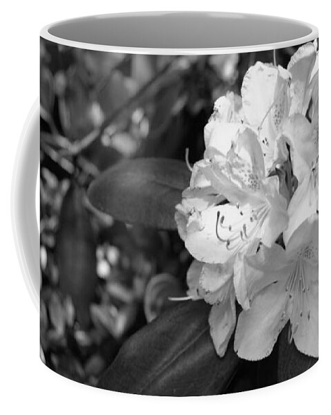 Dslr Coffee Mug featuring the photograph Stand Out In The Crowd by Lisa Blake