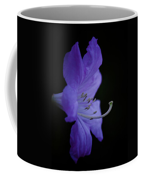 Rhododendron Coffee Mug featuring the photograph Rhododendron by Ron Roberts