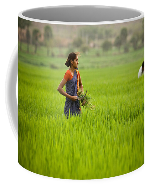 India Coffee Mug featuring the photograph Rice Harvest by John Magyar Photography