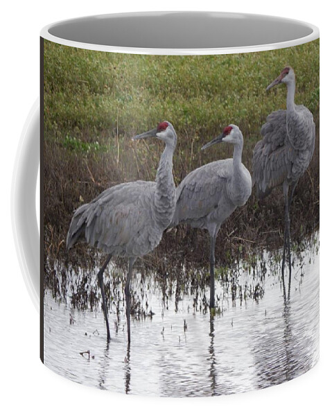 Cranes Coffee Mug featuring the photograph Right On by Kimberly Woyak