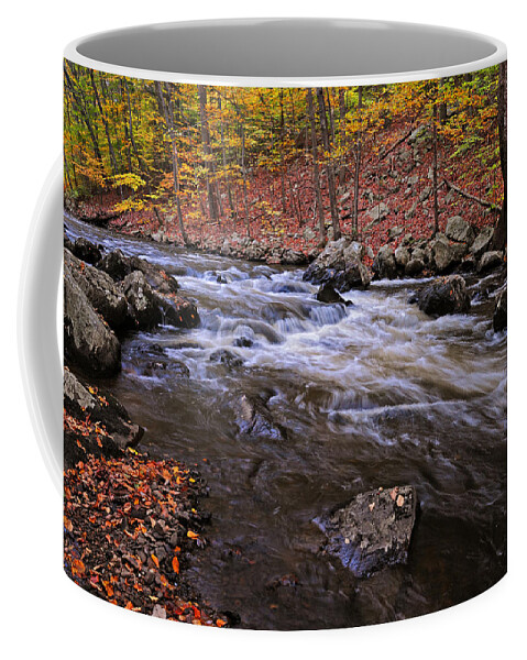 River Coffee Mug featuring the photograph River of Color by Dave Mills