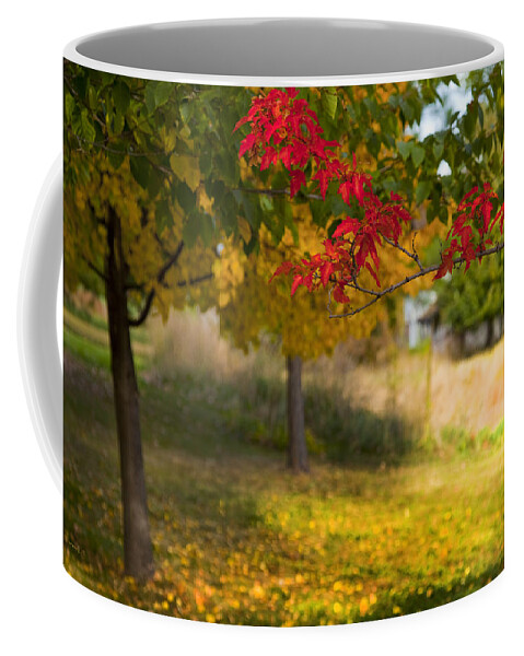 Autumn Coffee Mug featuring the photograph Riverbend Orchard by Theresa Tahara
