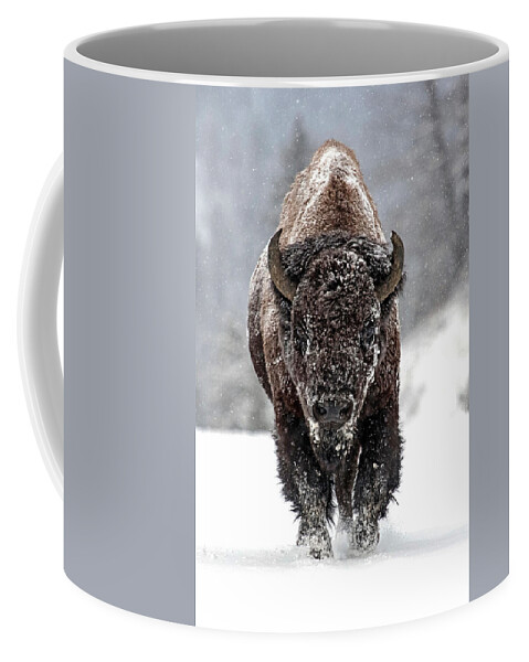 Bison Bison Coffee Mug featuring the photograph Road Warrior by Sandy Sisti