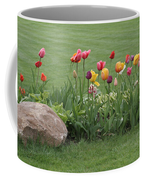 Tulips Coffee Mug featuring the photograph Tulip and Hosta Garden by Valerie Collins