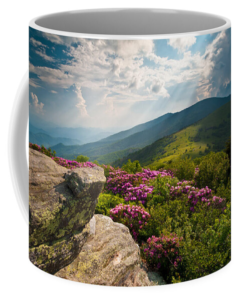 Appalachian Trail Coffee Mug featuring the photograph Roan Mountain from Appalachian Trail near Jane's Bald by Dave Allen
