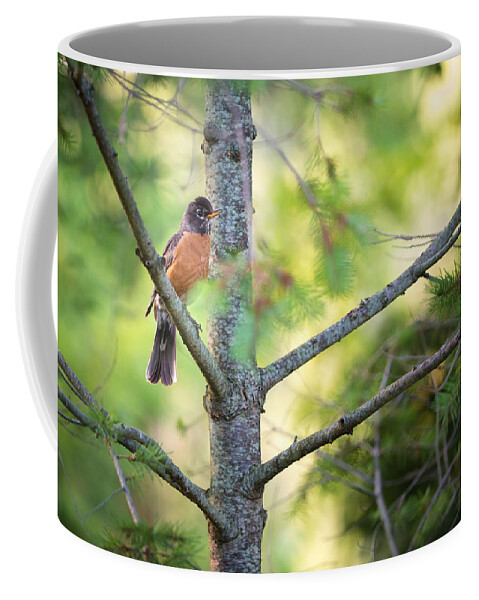 Robin Coffee Mug featuring the photograph Robin by Everet Regal