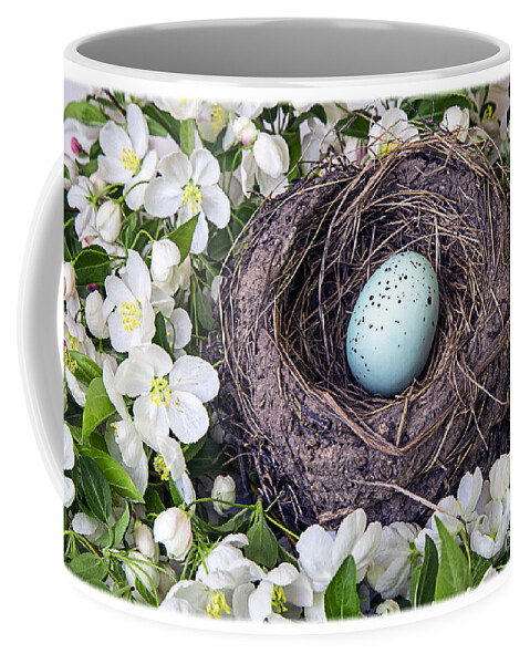 Apple Coffee Mug featuring the photograph Robin's Nest by Edward Fielding