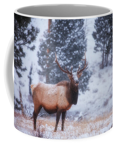 Snow Coffee Mug featuring the photograph Rocky Mountain Elk by Darren White