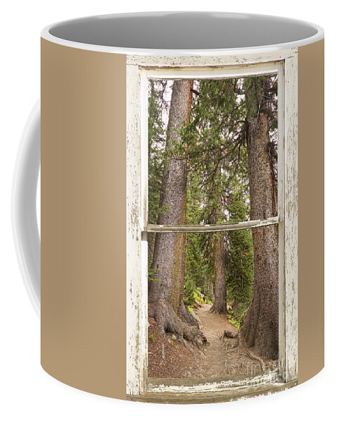Forest Coffee Mug featuring the photograph Rocky Mountain Forest Window View by James BO Insogna