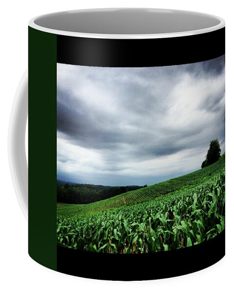 Green Coffee Mug featuring the photograph Rolling Corn Field After Storm by Angela Rath