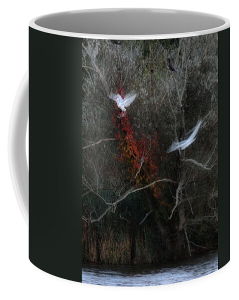 Bird Coffee Mug featuring the photograph Roost by Mark Fuller