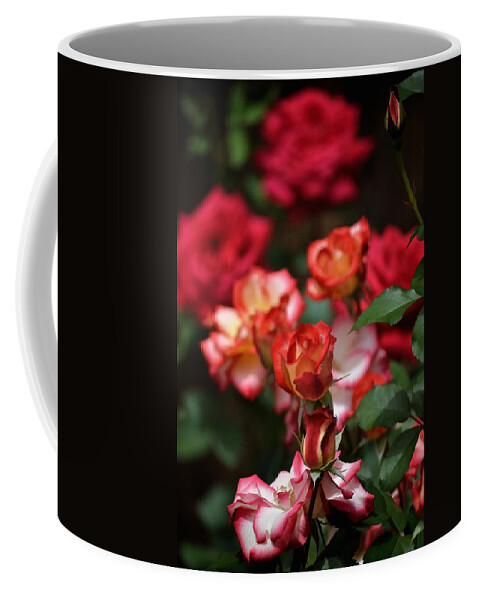Floral Coffee Mug featuring the photograph Rose 309 by Pamela Cooper
