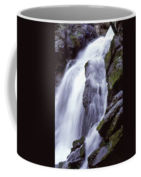 Waterfall Coffee Mug featuring the photograph Rose Creek Falls by Ginny Barklow