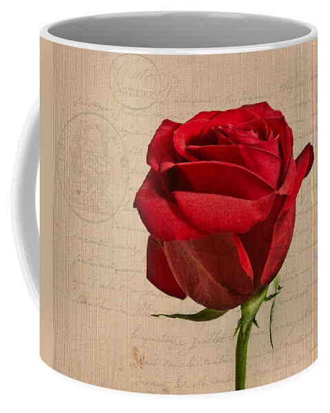 Rose Coffee Mug featuring the photograph Rose en Variation - s2at03a by Variance Collections