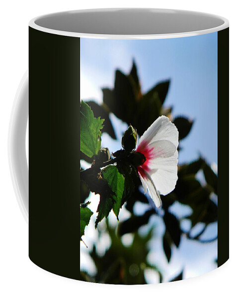 Flower Coffee Mug featuring the photograph Rose of Sharon at Dusk by Jean Goodwin Brooks
