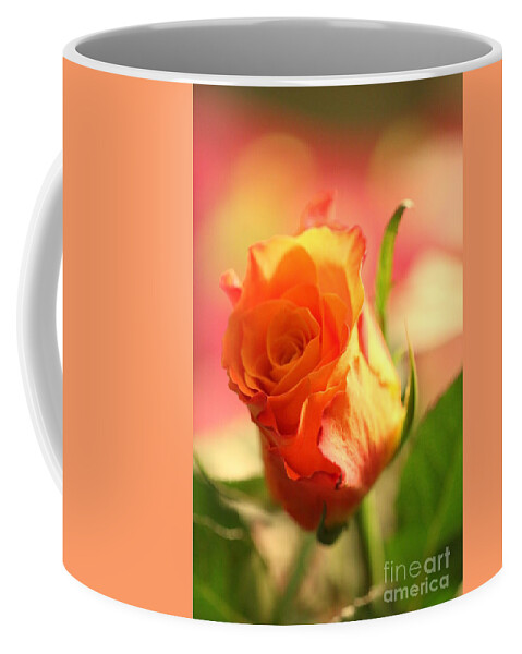 Background Coffee Mug featuring the photograph Rose on pink background II by Amanda Mohler