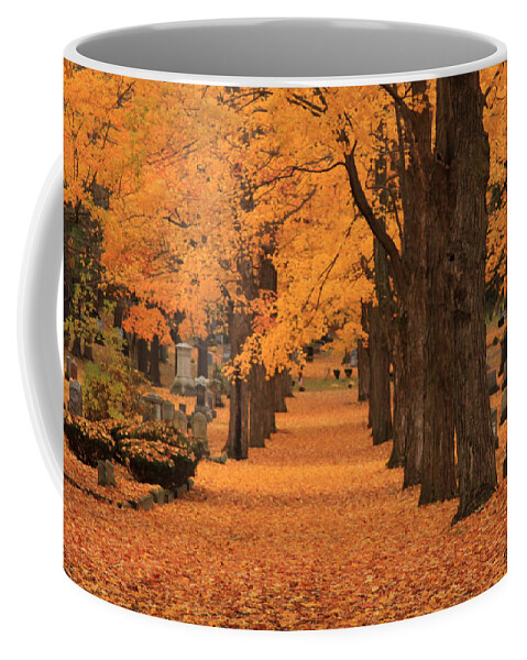 Autumn Foliage New England Coffee Mug featuring the photograph Rows of Maples in orange by Jeff Folger