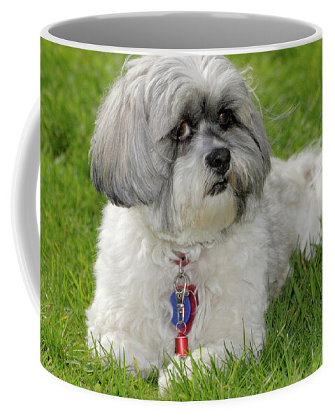 Pet Coffee Mug featuring the photograph Roxey Glamour by Arthur Fix