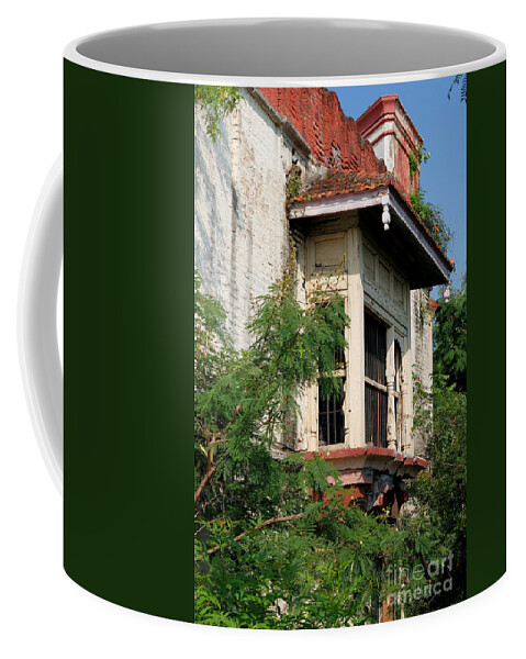 Balcony Coffee Mug featuring the photograph Royal Balcony by Kiran Joshi
